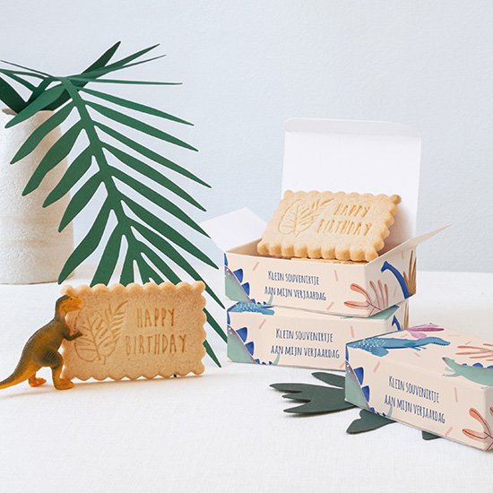 De koekjesdoosjes