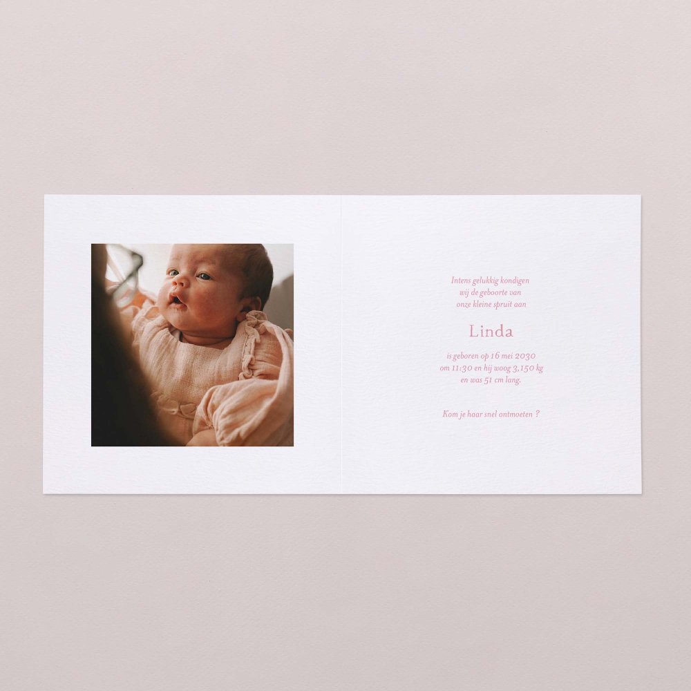 Vichy - roze