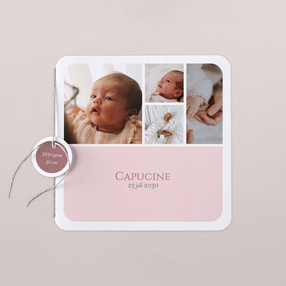 Capucine