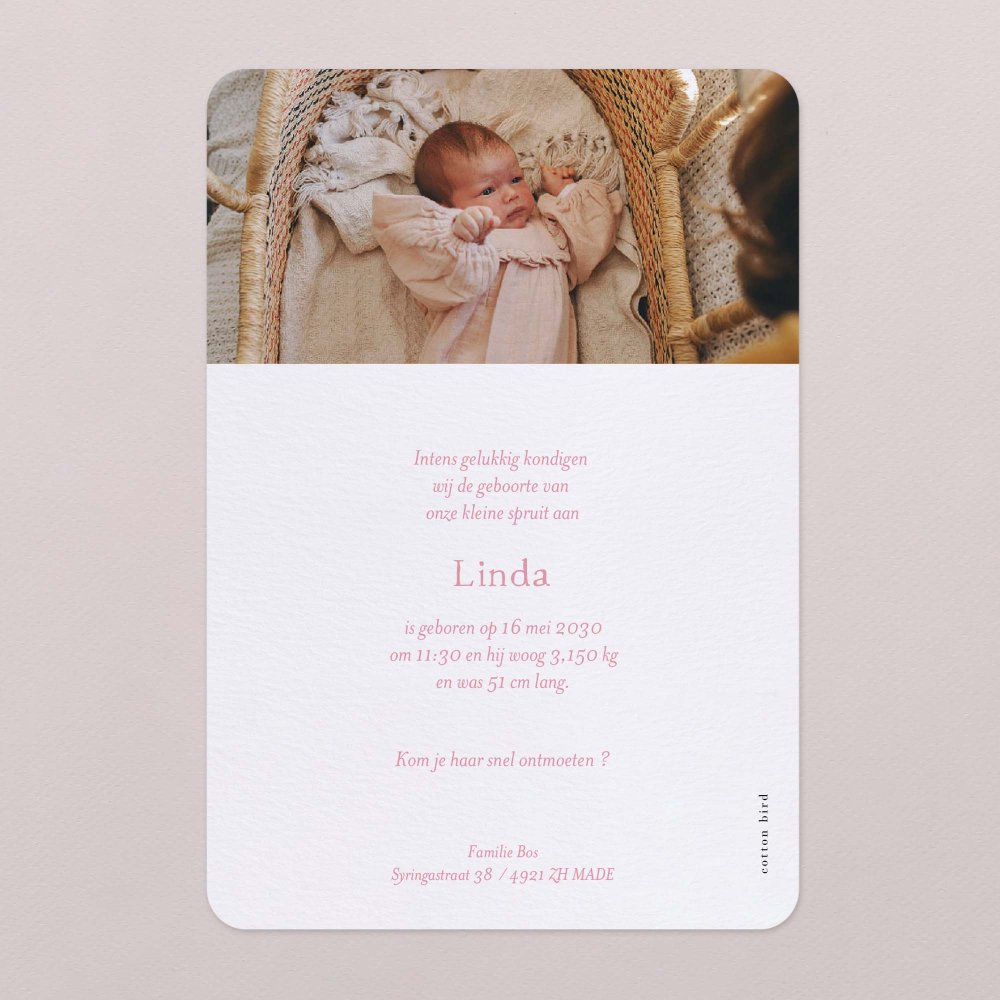 Vichy - roze
