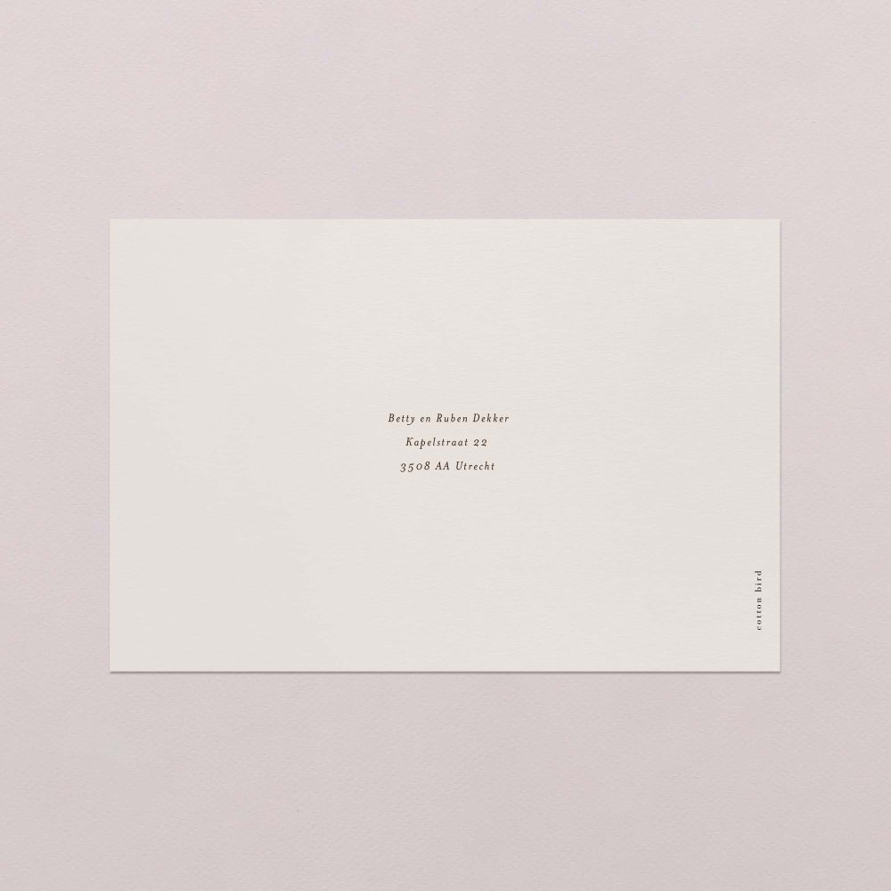 Minimal portrait
