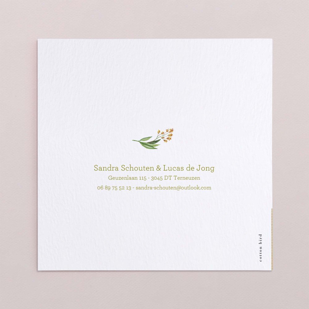 Lily of the Valley