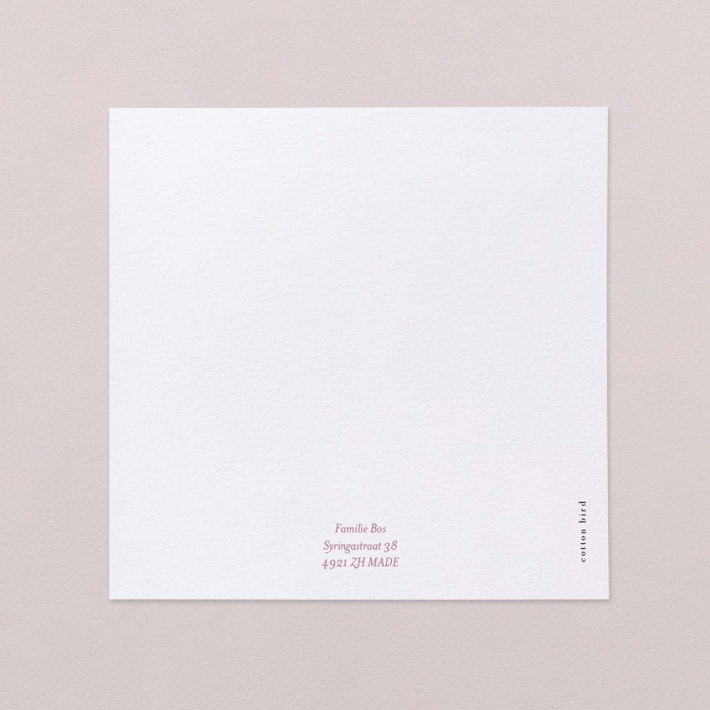 Claudine - roze