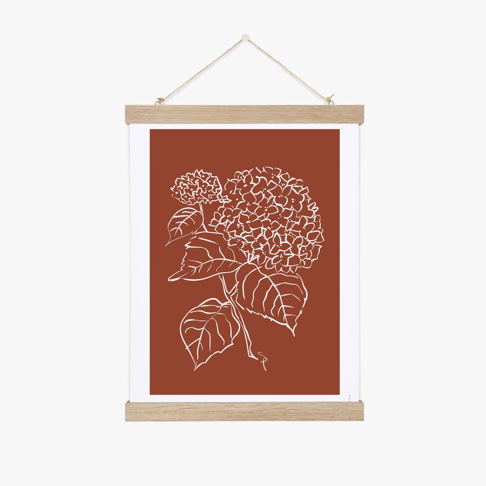 Hortensia
