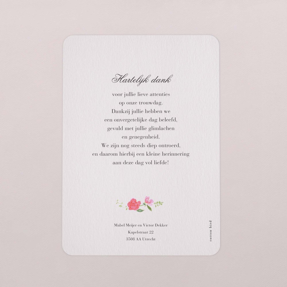 Sweet roses