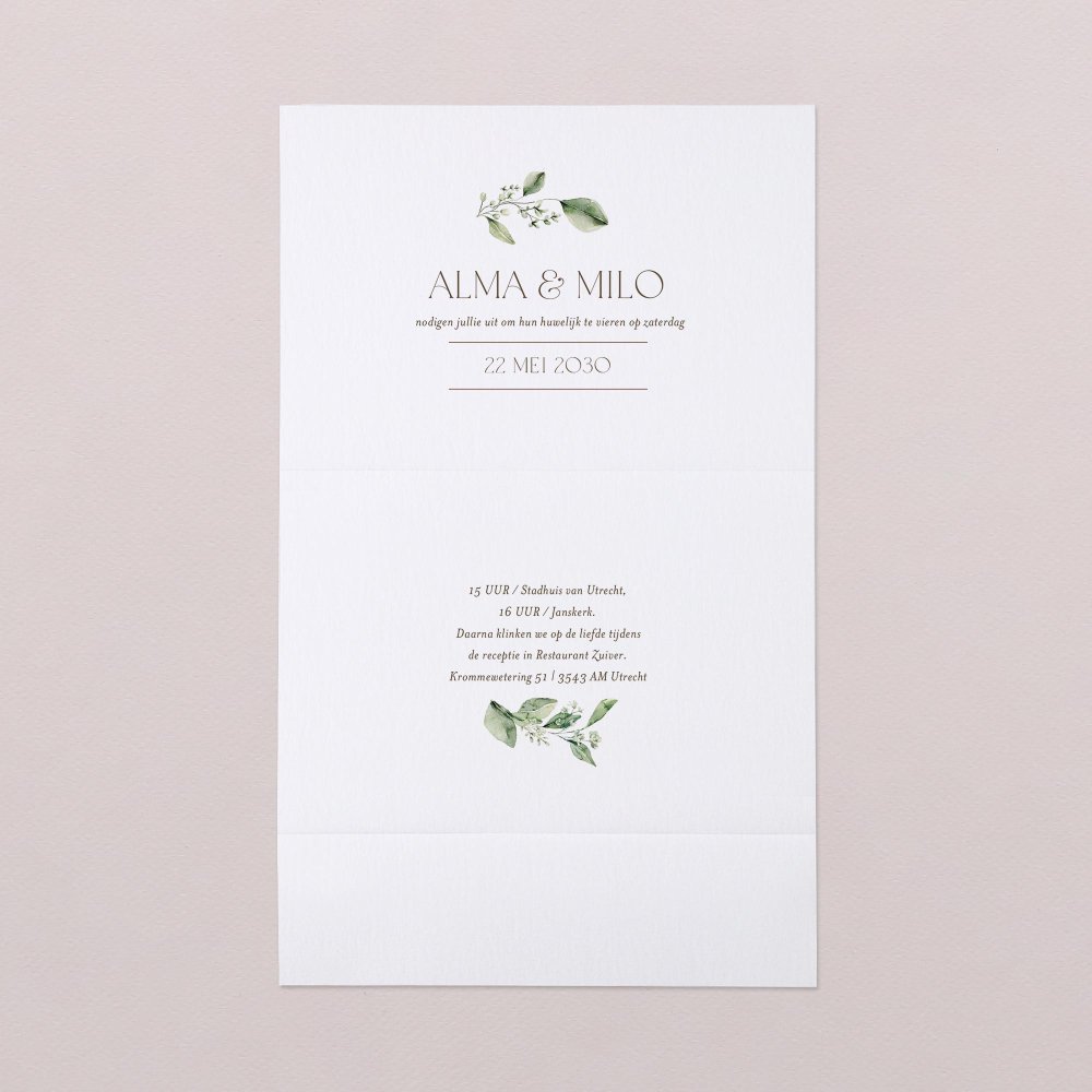 Amedeo