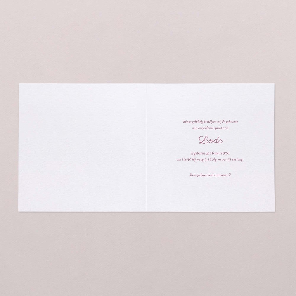 Claudine - roze