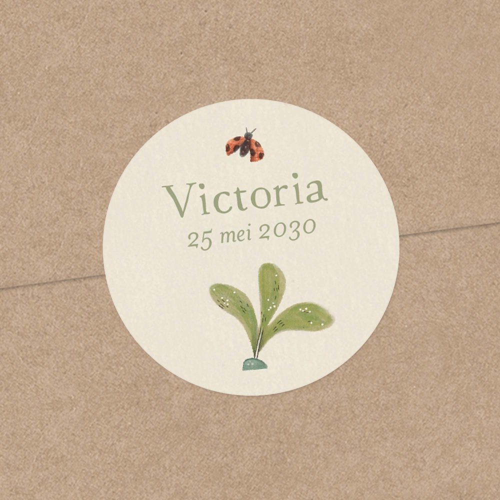 Vlierbloesem