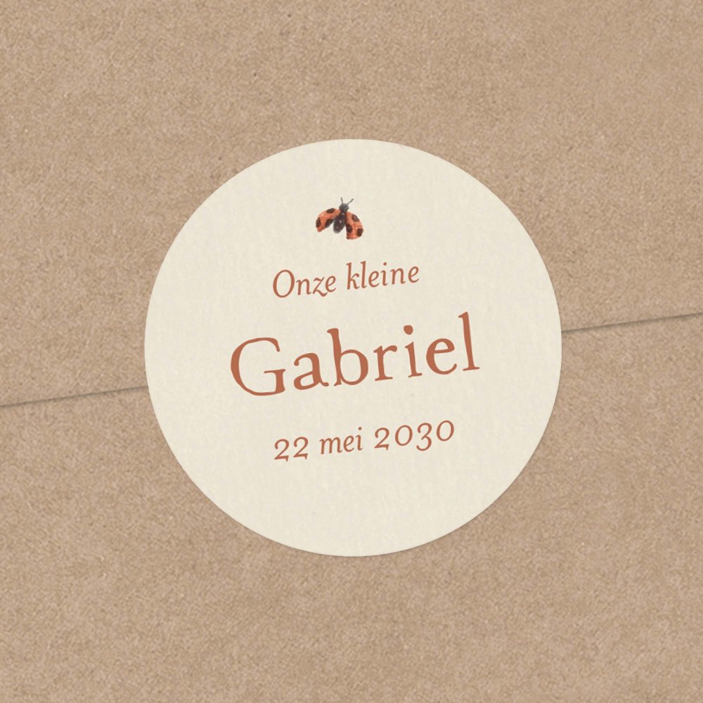Knabbelwortel
