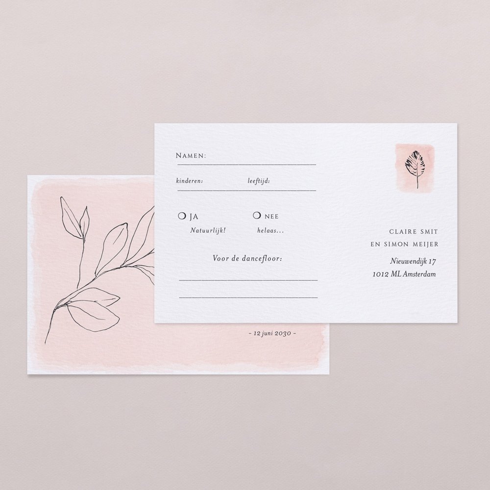 Delicate & Co