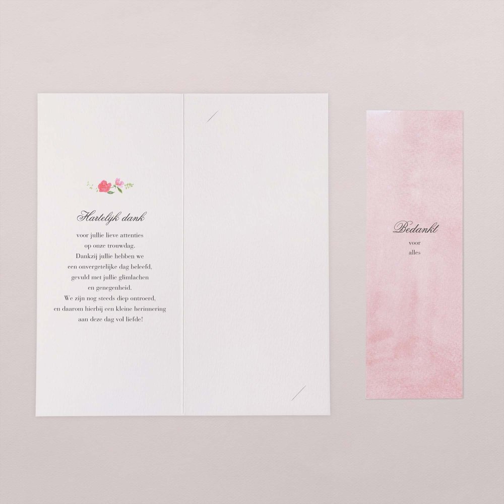 Sweet roses