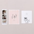 Delicate
