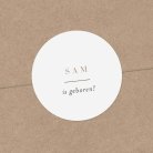Swann