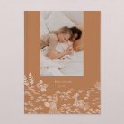 Sleeping Forest