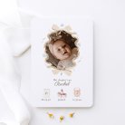 Little myosotis