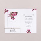 Bougainvillée