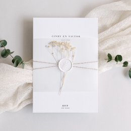 Blanca