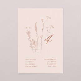 August