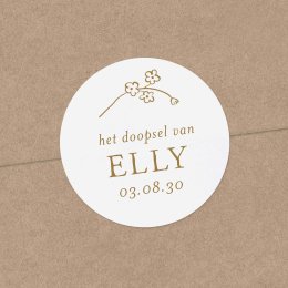 Bloemenpracht