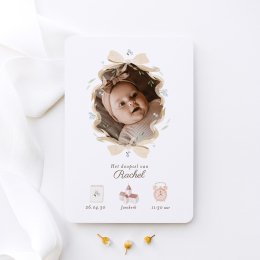 Little myosotis