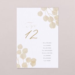 Ginkgo