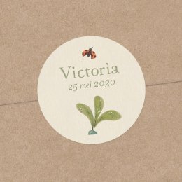 Vlierbloesem