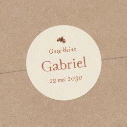 Knabbelwortel