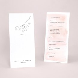 Delicate & Co