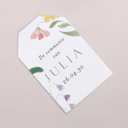 Lilly Rose